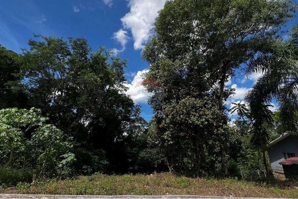 Terreno - Venda - Joaçaba , Santa Catarina - 1.jpg - 590271032-637