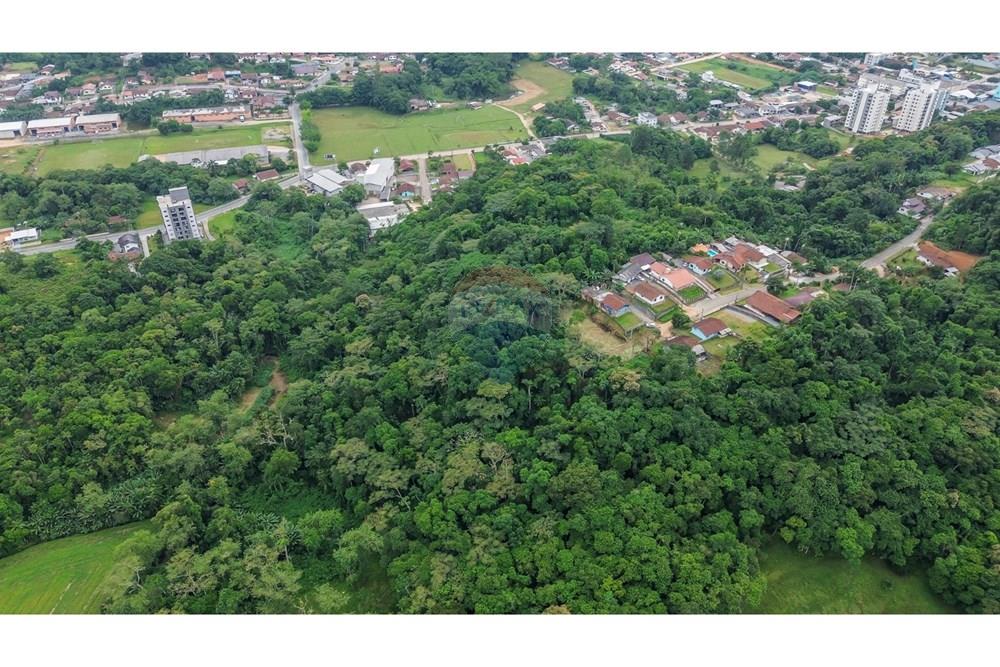 Terreno - Venda - Timbó , Santa Catarina - 20c763b6-566d-49aa-aea4-d19ef50472cb.jpg - 590211007-99