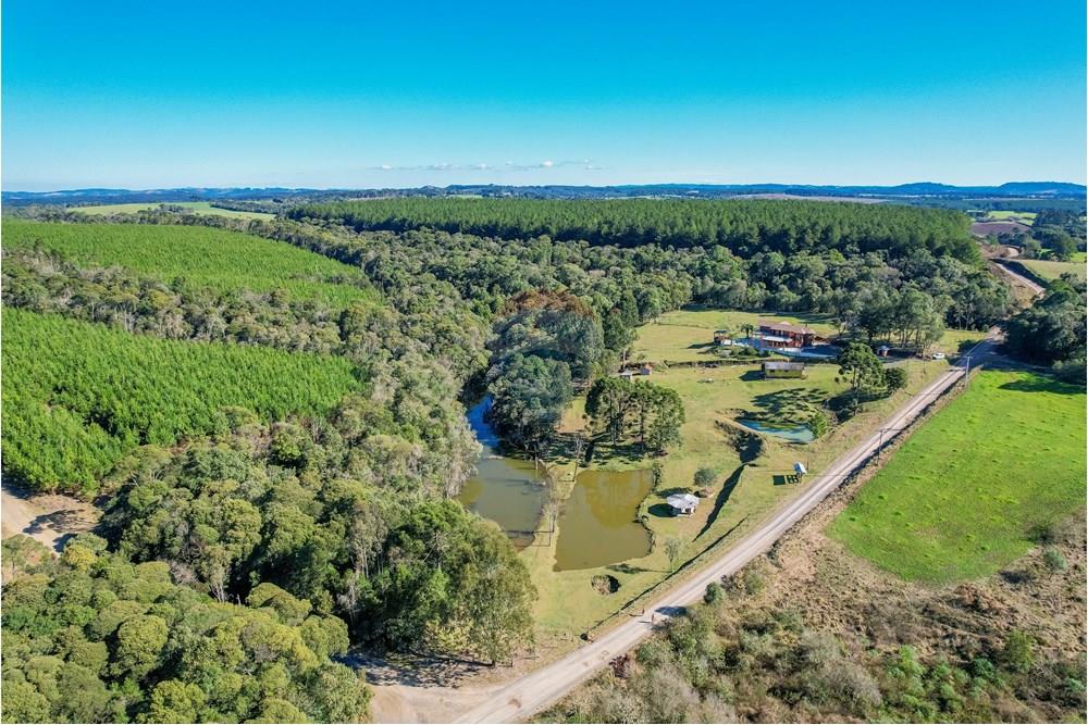 Chácara / Sítio / Fazenda - Venda - Ponte Alta , Santa Catarina - DJI_0180.jpg - 590071002-444