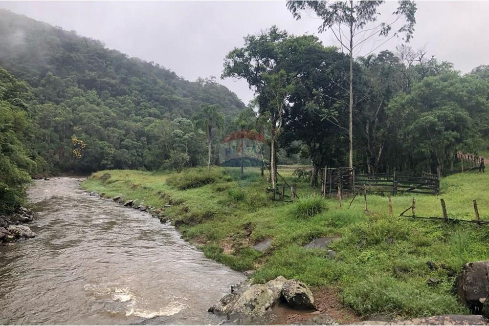 Terreno - Venda - Rio dos Cedros , Santa Catarina - FOTO 01 RIO - .JPG - 590211051-10