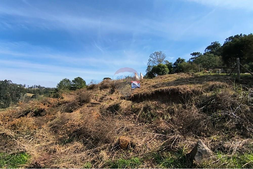 Terreno - Venda - Lages , Santa Catarina - WhatsApp Image 2025-08-28 at 16.20.29 (1).jpeg - 590071033-22