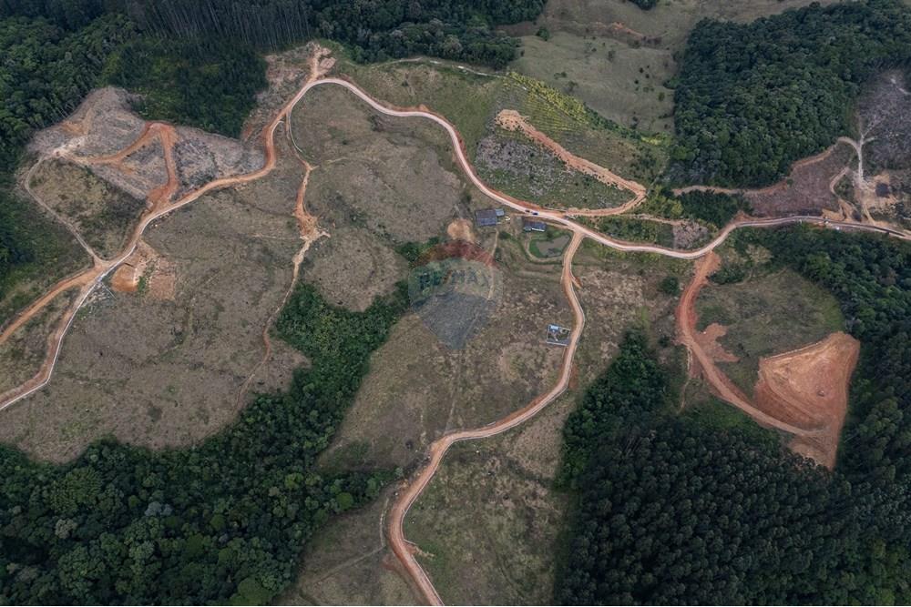 Chácara / Sítio / Fazenda - Venda - São Martinho , Santa Catarina - DJI_20250711081349_0702_D_DJI4.jpg - 590461004-17