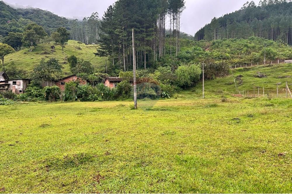 Terreno - Venda - Rio dos Cedros , Santa Catarina - c33c0945-328a-47fc-8735-c22da9500a17.jpeg - 590211035-43