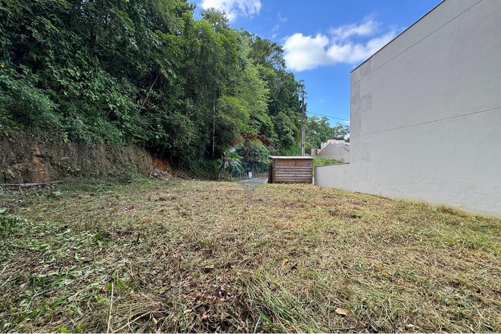 Terreno - Venda - Blumenau , Santa Catarina - WhatsApp Image 2025-03-17 at 11.08.21.jpeg - 590301006-91