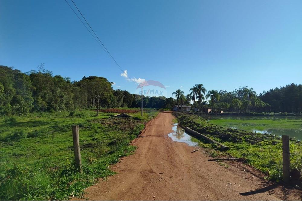 Chácara / Sítio / Fazenda - Venda - Benedito Novo , Santa Catarina - IMG-20241028-WA0367.jpg - 590301027-92