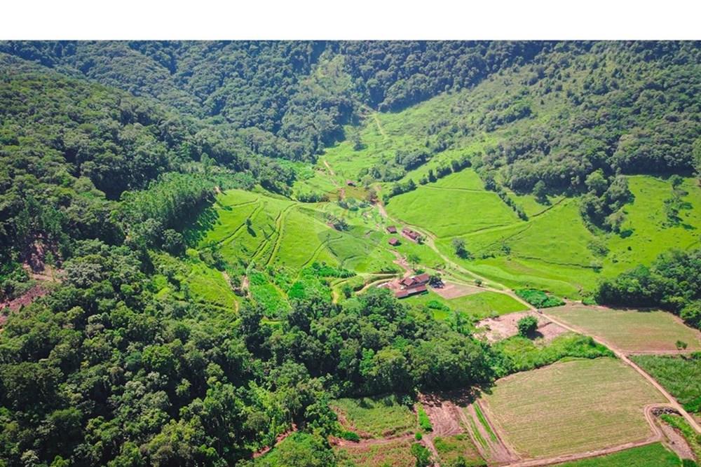 Terreno - Venda - Rio dos Cedros , Santa Catarina - DJI_0861-2 - Copia.jpg - 590211035-40