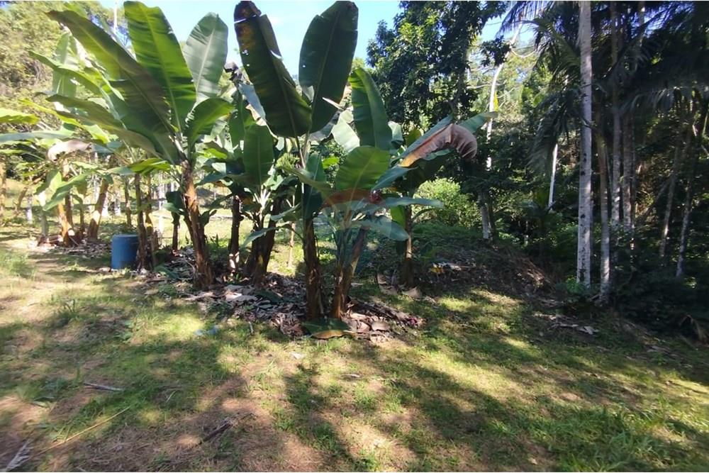 Chácara / Sítio / Fazenda - Venda - Indaial , Santa Catarina - WhatsApp Image 2025-04-23 at 14.49.28.jpeg - 590301044-30