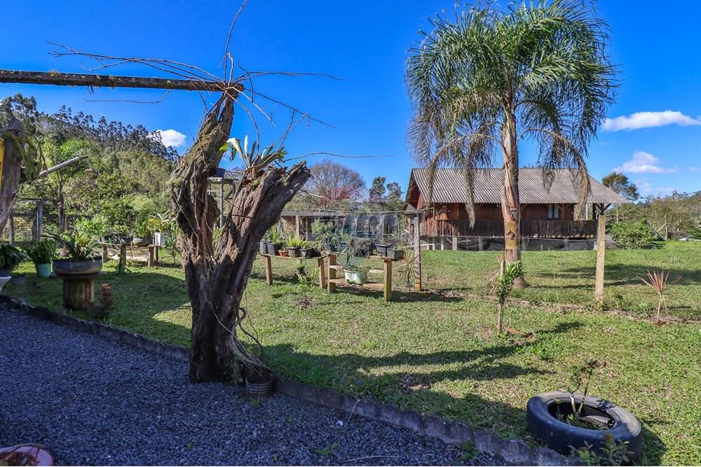 Chácara / Sítio / Fazenda - Venda - Doutor Pedrinho , Santa Catarina - WhatsApp Image 2025-09-09 at 21.19.26.jpeg - 590211064-3