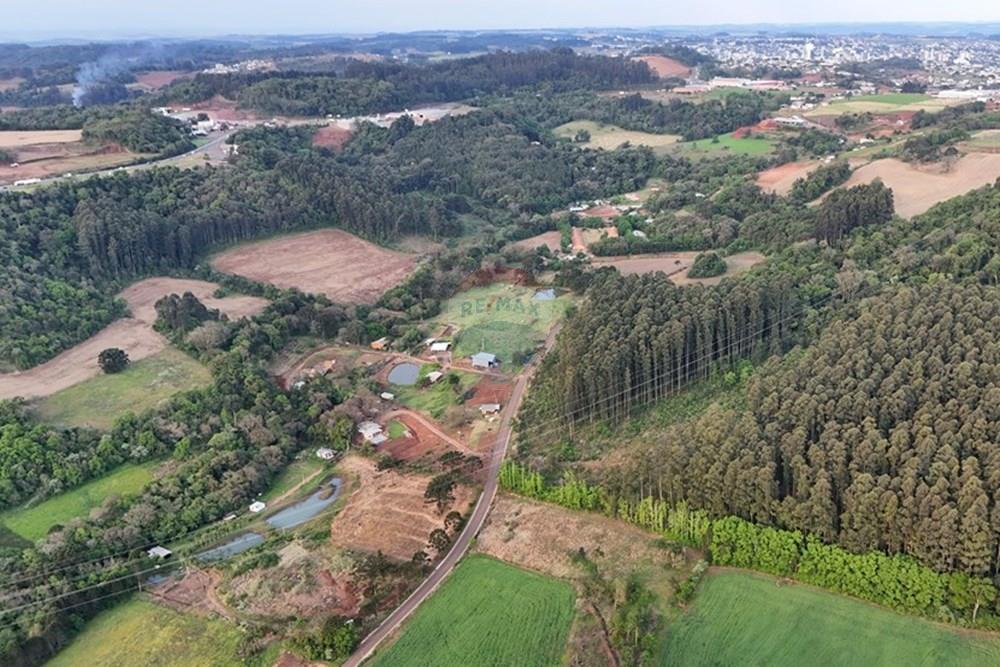 Chácara / Sítio / Fazenda - Venda - Xaxim , Santa Catarina - DJI_20250929173027_0195_D.JPG - 590421024-5