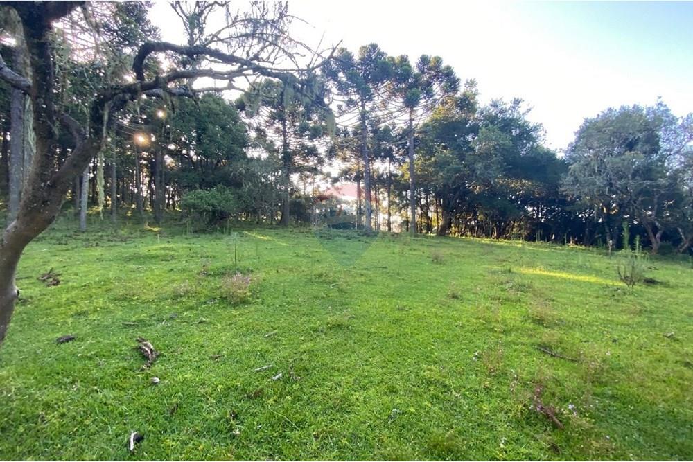 Chácara / Sítio / Fazenda - Venda - Painel , Santa Catarina - WhatsApp Image 2025-05-09 at 11.33.26.jpeg - 590071044-16