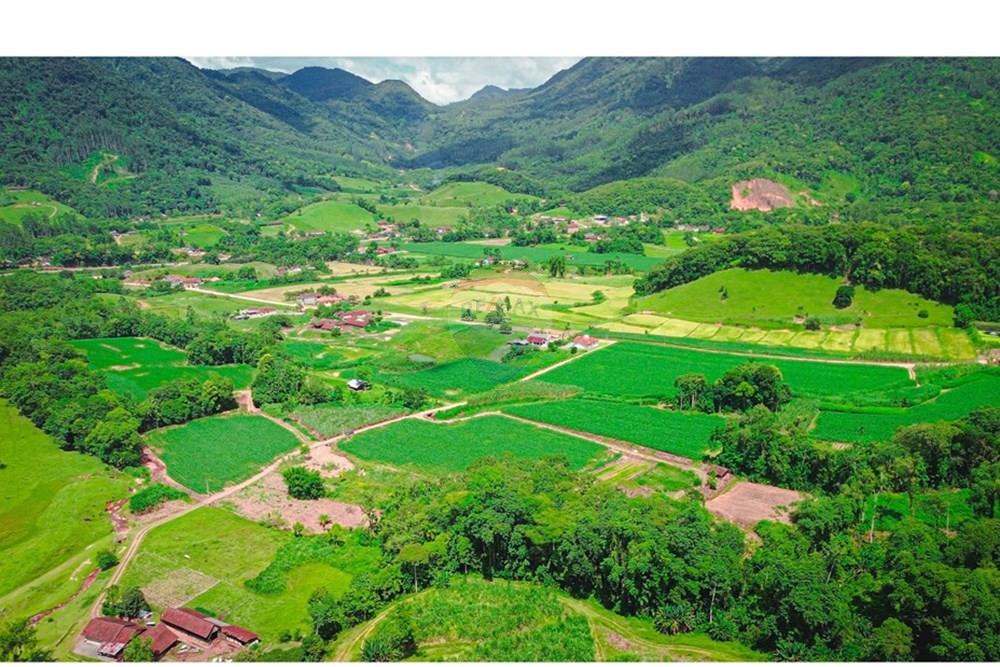 Terreno - Venda - Rio dos Cedros , Santa Catarina - DJI_0050.jpg - 590211035-40