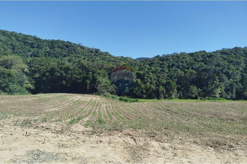 Chácara / Sítio / Fazenda - Venda - Apiúna , Santa Catarina - WhatsApp Image 2025-06-18 at 14.41.11.jpeg - 590301027-110