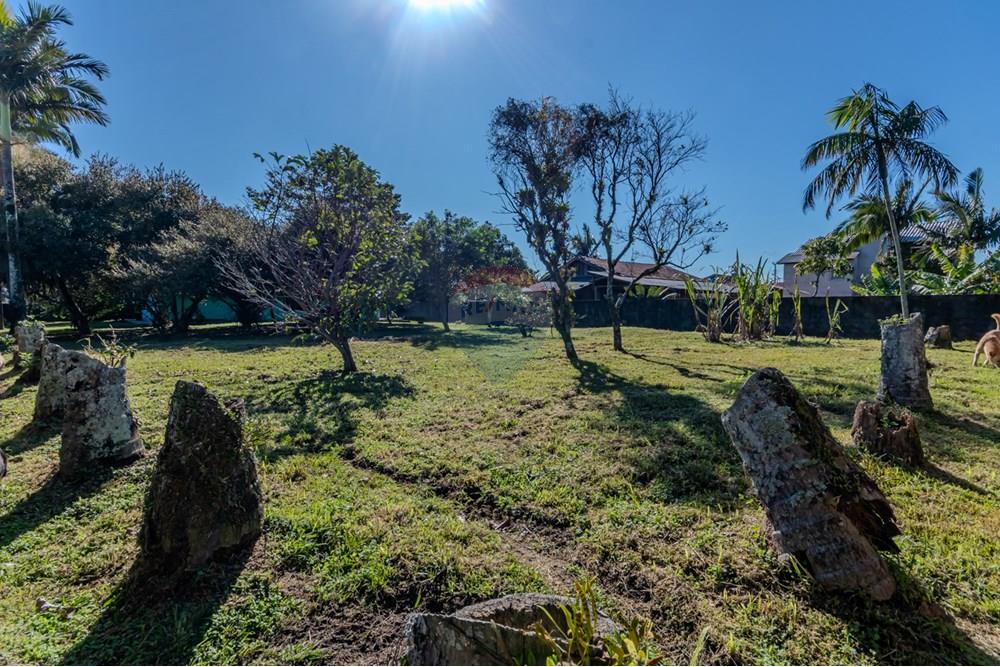 Terreno - Venda - Tijucas , Santa Catarina - IMG_9886.jpg - 590531034-1