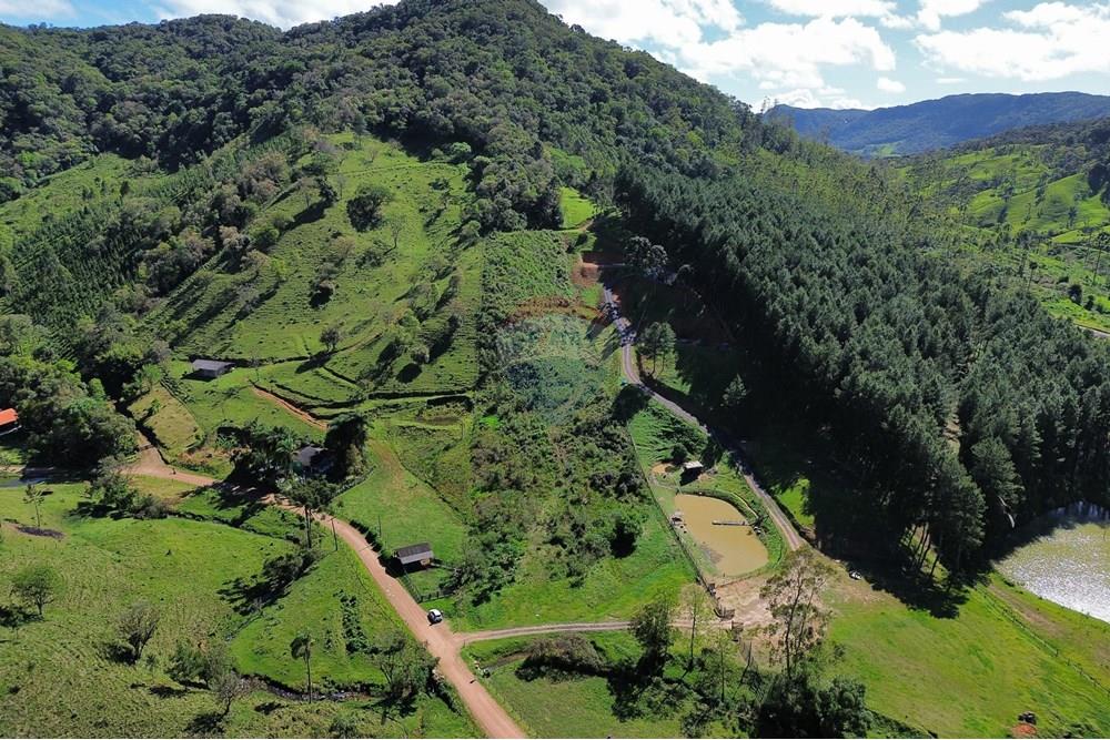 Terreno - Venda - Rio dos Cedros , Santa Catarina - dji_fly_20251018_170904_290_1760904353633_photo_optimized.JPG - 590211067-6