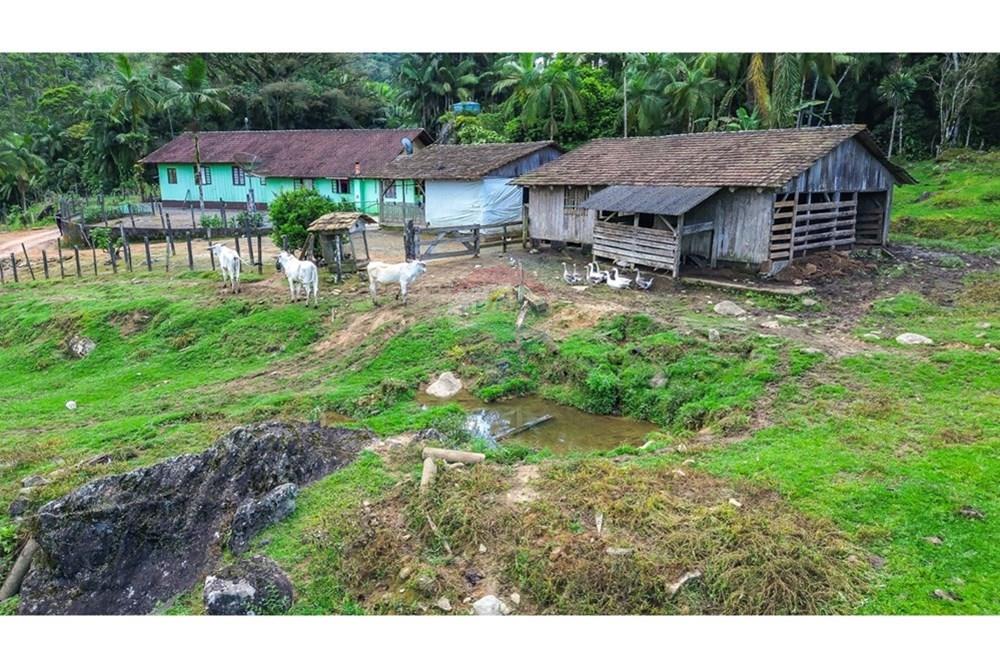 Chácara / Sítio / Fazenda - Venda - Rio dos Cedros , Santa Catarina - 9e9be848-888c-4abb-a604-120c9cec2387.jpeg - 590211035-78