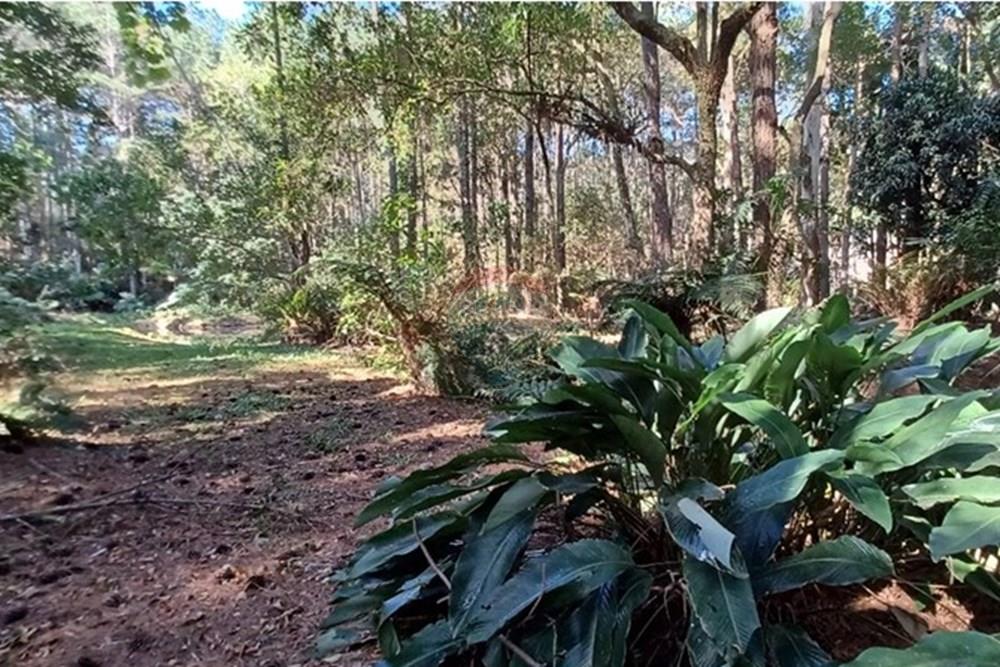 Terreno - Venda - Florianópolis , Santa Catarina - PHOTO-2025-05-15-17-03-26.jpg - 590101001-59