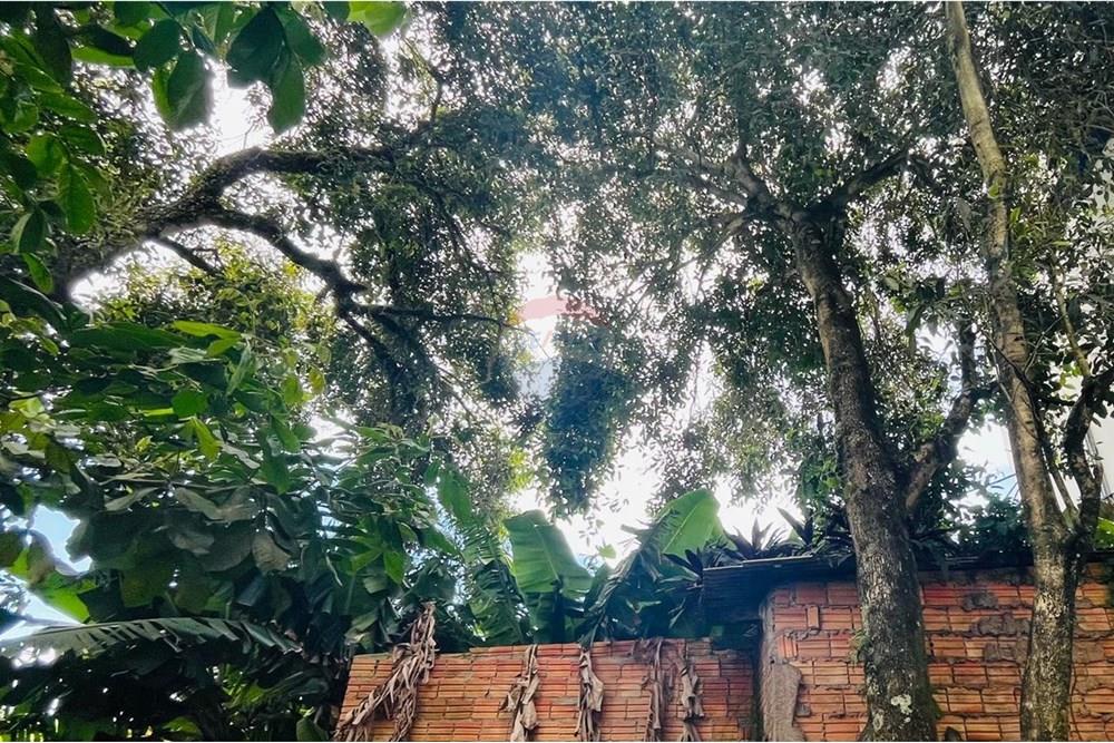 Terreno - Venda - Navegantes , Santa Catarina - TERRENO7.jpg - 590091044-43