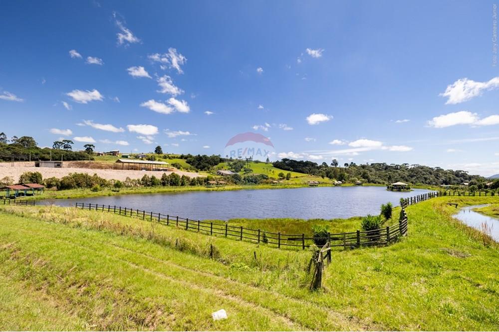 Terreno - Venda - Lages , Santa Catarina - IMG-20250318-WA0098.jpg - 590071002-306