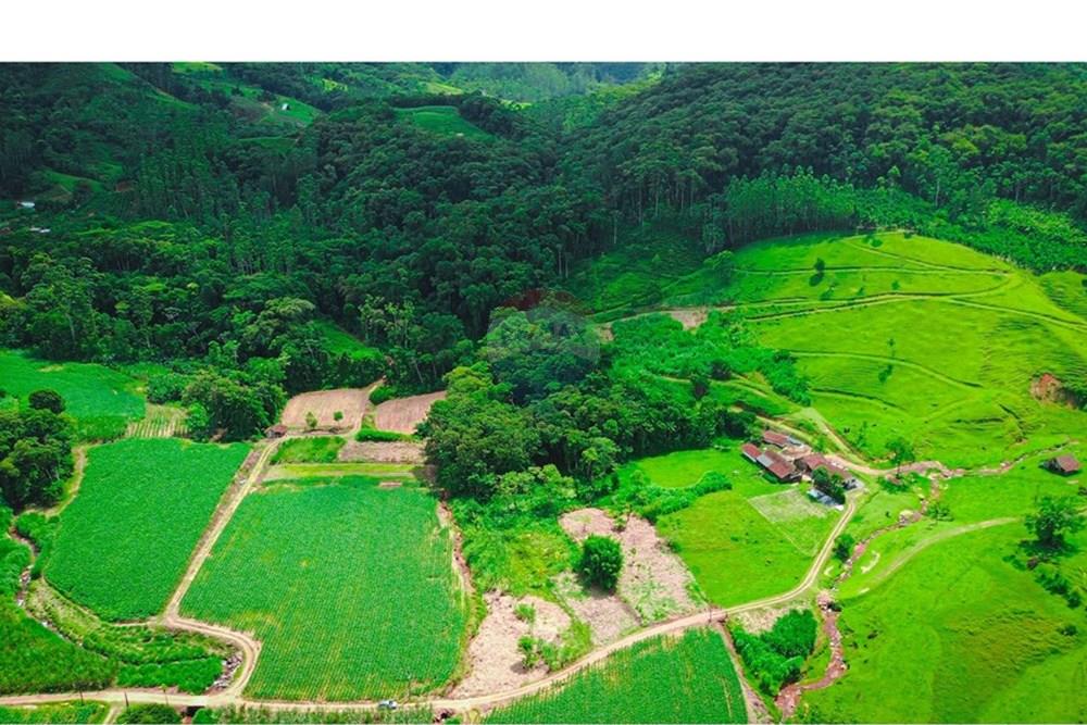 Terreno - Venda - Rio dos Cedros , Santa Catarina - DJI_0057 - Copia.jpg - 590211035-40