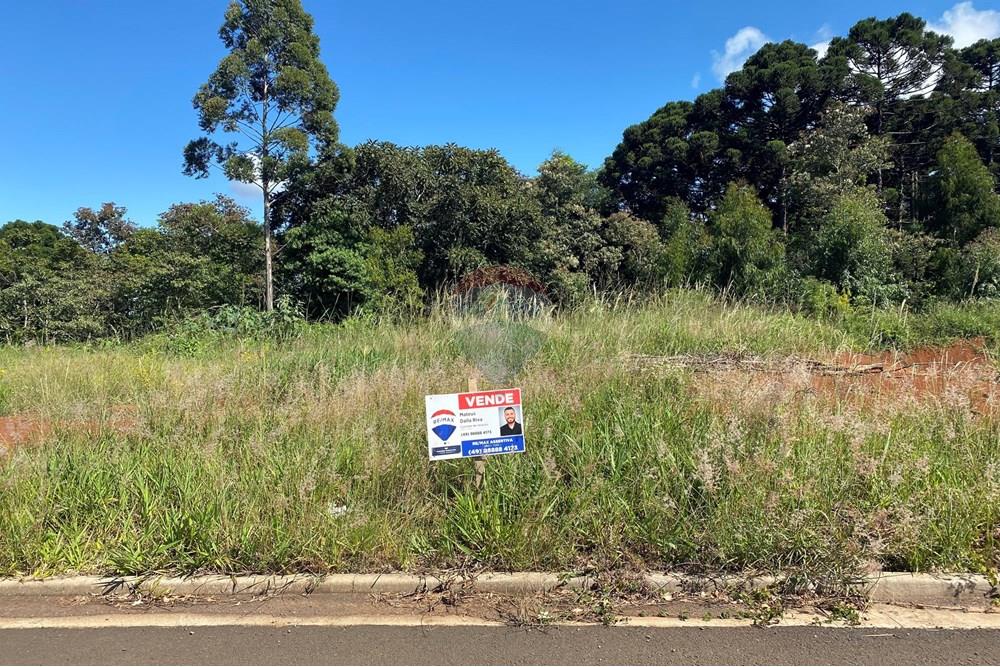 Terreno - Venda - Xaxim , Santa Catarina - IMG_7413.jpg - 590421003-26