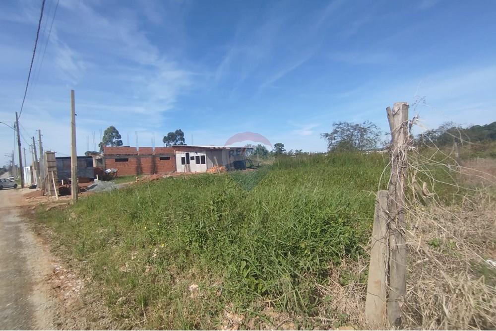 Terreno - Venda - Barra Velha , Santa Catarina - WhatsApp Image 2025-04-29 at 11.22.13 (2).jpeg - 590481021-31