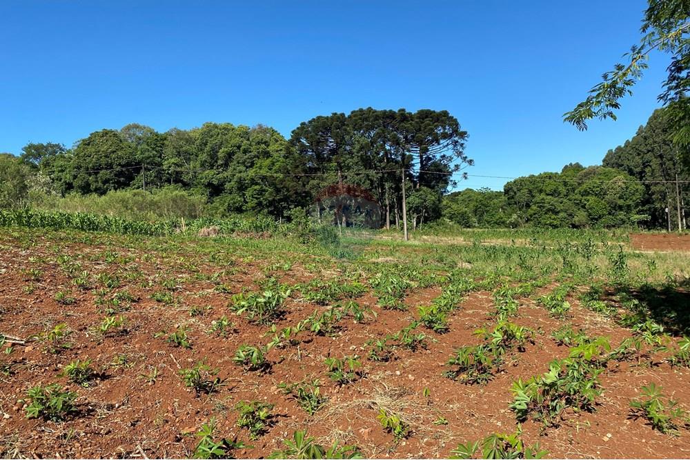 Terreno - Venda - Xaxim , Santa Catarina - 4.jpg - 590421016-5