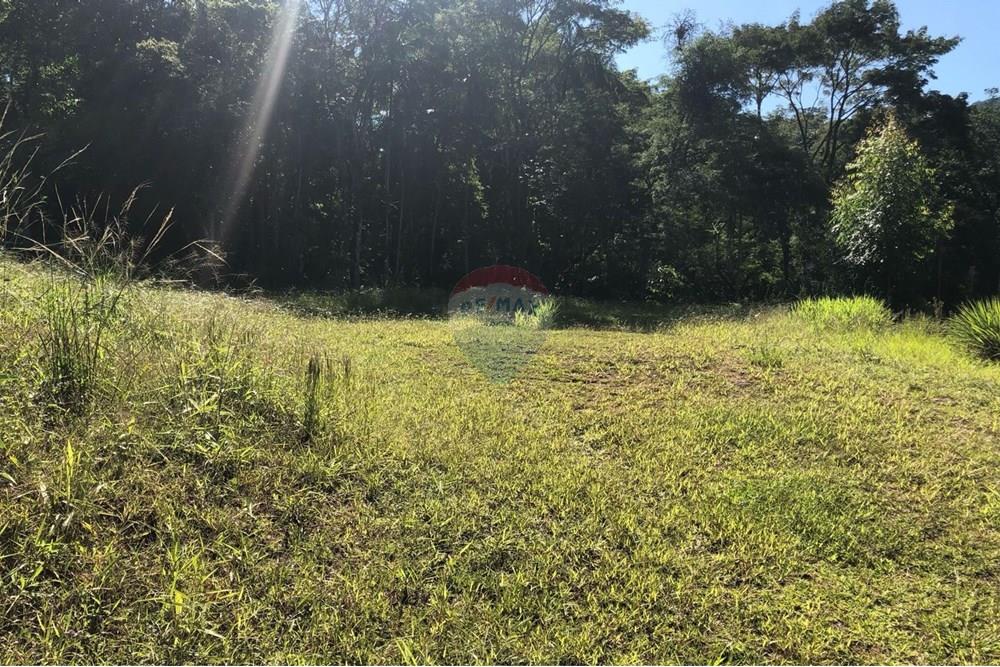 Terreno - Venda - Rodeio , Santa Catarina - FOTO 10 - .JPG - 590211051-23