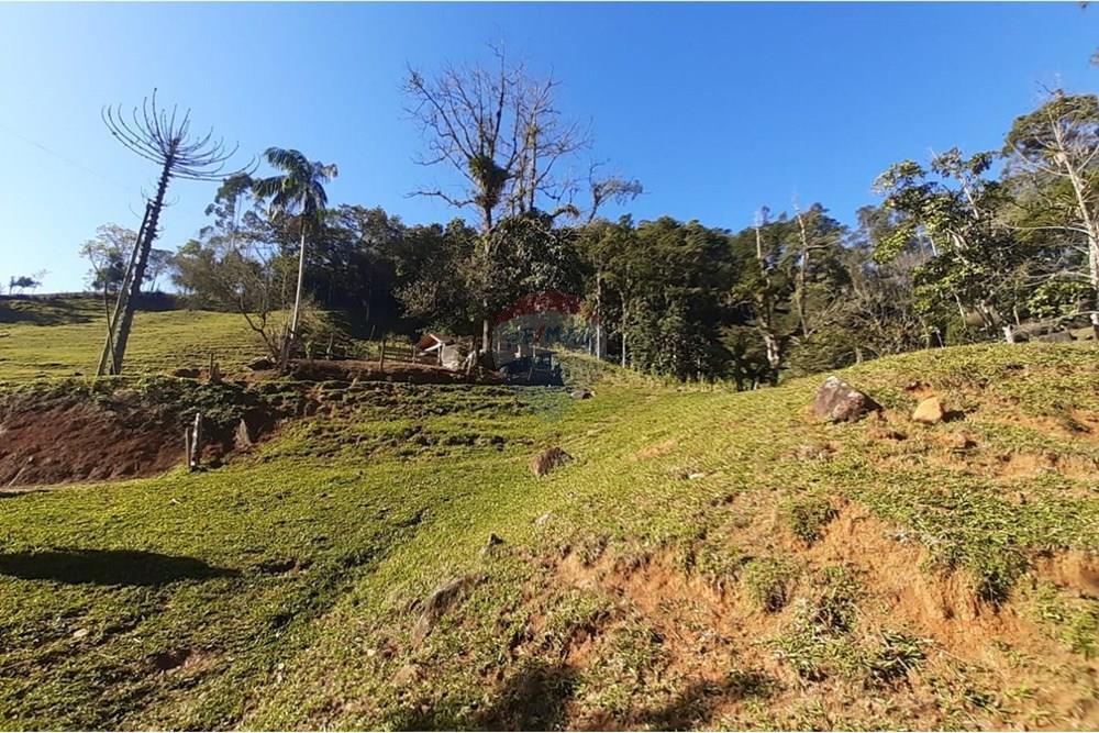 Chácara / Sítio / Fazenda - Venda - Rodeio , Santa Catarina - WhatsApp Image 2025-09-23 at 17.44.59.jpeg - 590301034-21