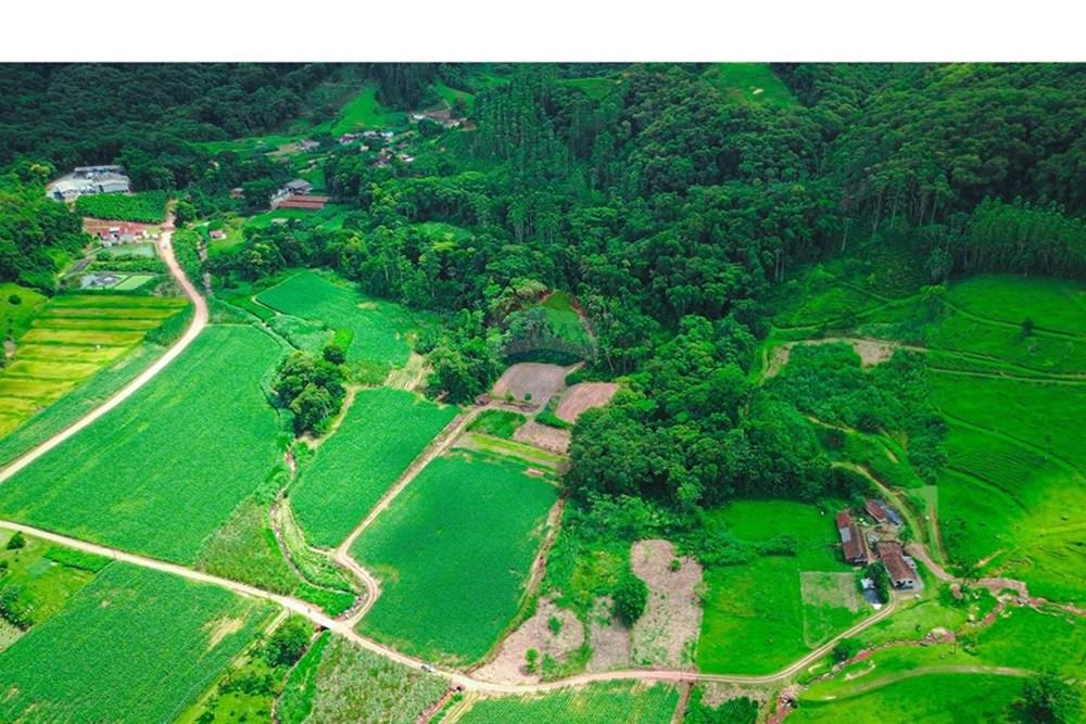 Terreno - Venda - Rio dos Cedros , Santa Catarina - DJI_0059.jpg - 590211035-40