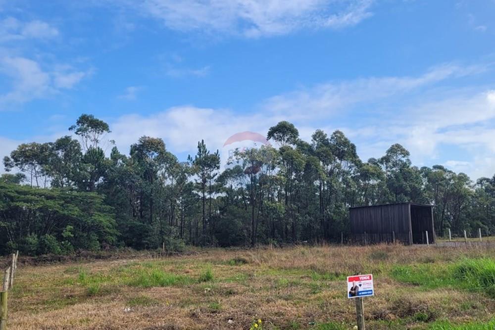 Terreno - Venda - Balneário Gaivota , Santa Catarina - 20250411_085533.jpg - 590491002-30