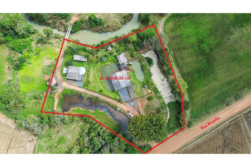 Chácara / Sítio / Fazenda - Venda - Doutor Pedrinho , Santa Catarina - WhatsApp Image 2025-09-16 at 16.38.44.jpeg - 590211064-3