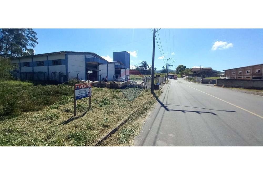 Terreno - Venda - Timbó , Santa Catarina - WhatsApp Image 2025-03-20 at 13.39.18.jpeg - 590211033-46