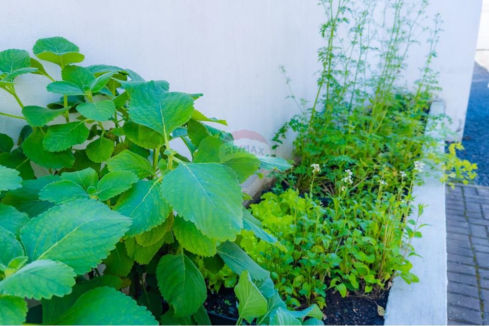 Apartamento - Venda - Criciúma , Santa Catarina - IMG_7544.jpg - 590311026-37