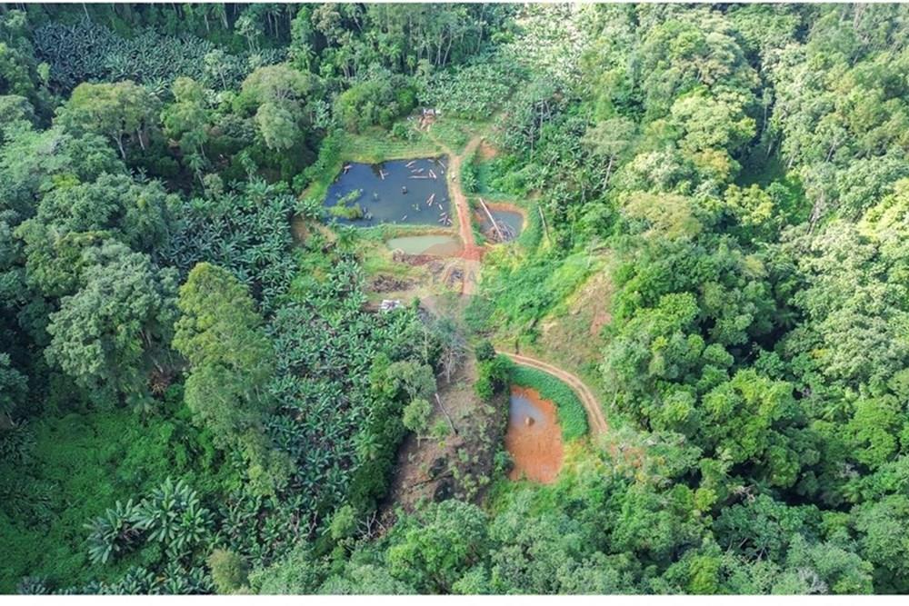 Terreno - Venda - Timbó , Santa Catarina - FOTO PRO 07 - .JPG - 590211051-24