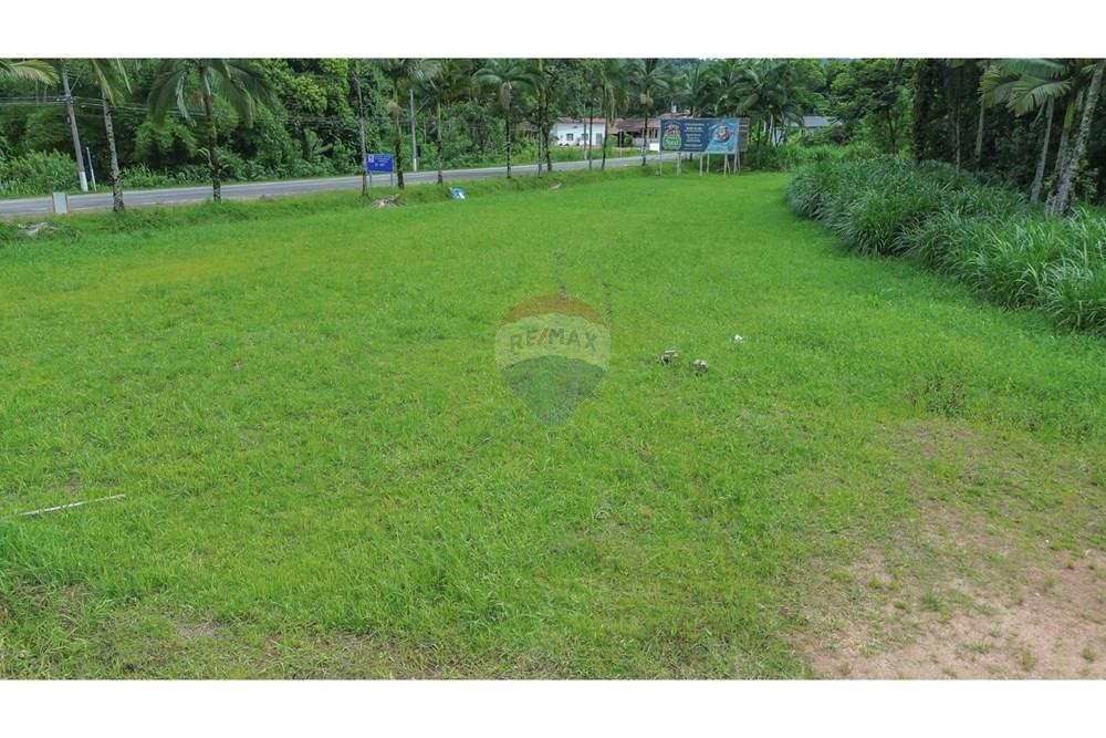 Terreno - Venda - Benedito Novo , Santa Catarina - Imagem do WhatsApp de 2025-02-14 à(s) 13.13.56_48add347.jpg - 590211007-95