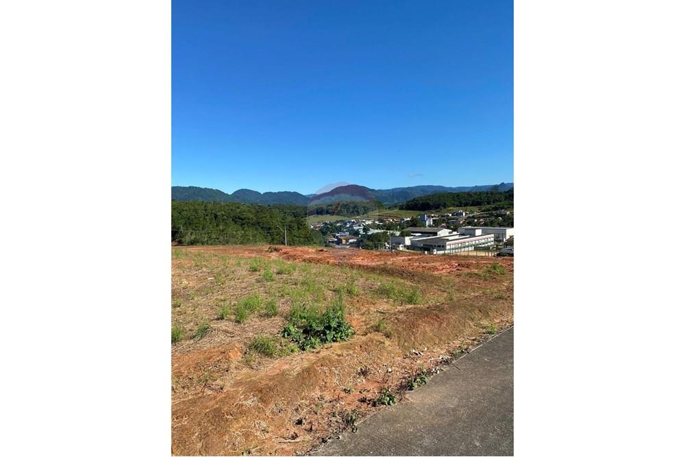 Terreno - Venda - Jaraguá do Sul , Santa Catarina - WhatsApp Image 2024-09-12 at 16.46.41 - Cópia.jpeg - 590451003-67