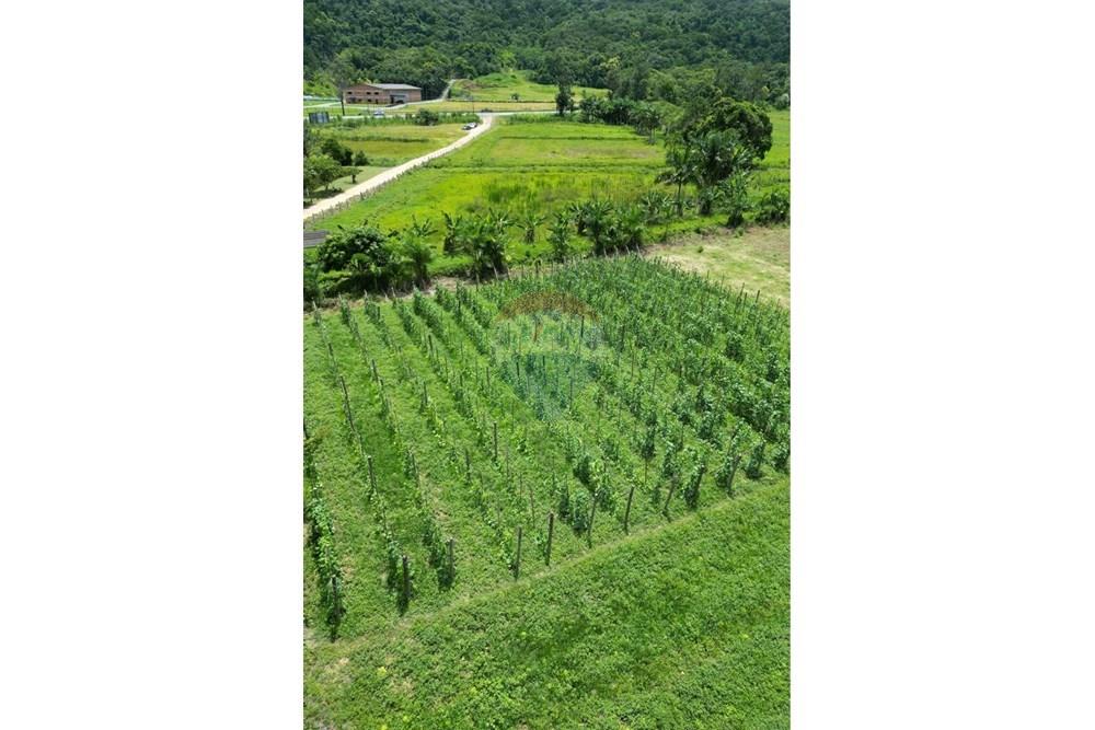 Terreno - Venda - Indaial , Santa Catarina - IMG_0259.jpeg - 590301007-66