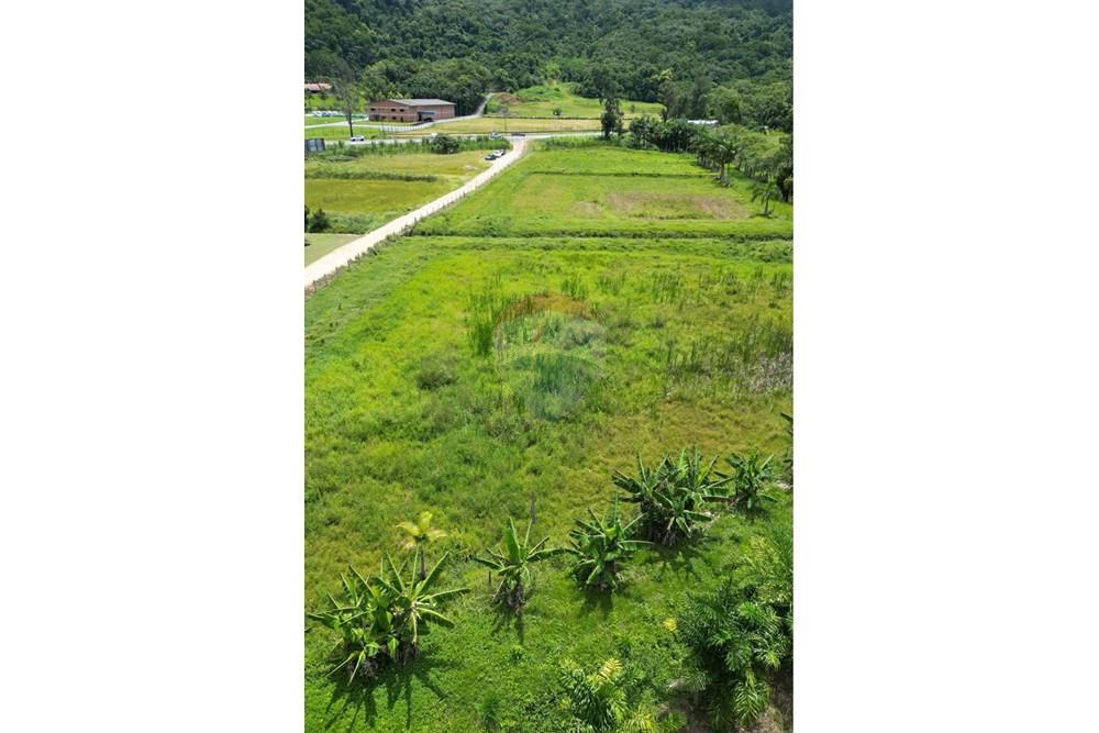 Terreno - Venda - Indaial , Santa Catarina - IMG_0258.jpeg - 590301007-66