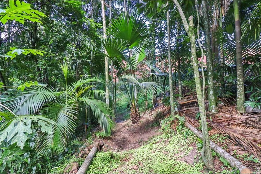 Casa - Venda - Indaial , Santa Catarina - WhatsApp Image 2024-12-17 at 10.40.58 (1).jpeg - 590211024-28