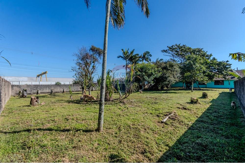 Terreno - Venda - Tijucas , Santa Catarina - IMG_9883.jpg - 590531034-1