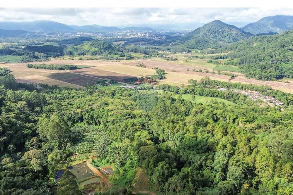 Terreno - Venda - Timbó , Santa Catarina - FOTO PRO 03 -.JPG - 590211051-24