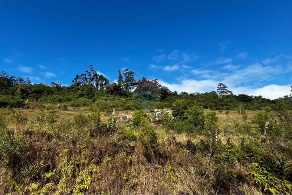 Terreno - Venda - Sombrio , Santa Catarina - WhatsApp Image 2025-06-11 at 17.25.49.jpeg - 590491002-67