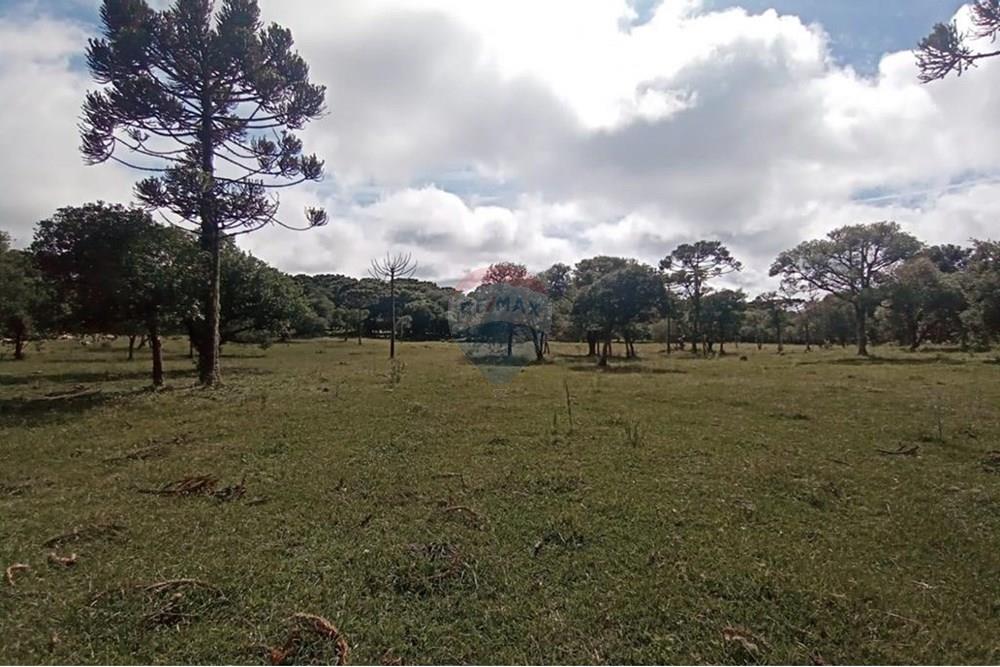 Chácara / Sítio / Fazenda - Venda - Painel , Santa Catarina - IMG-20250512-WA0067.jpg - 590071044-16