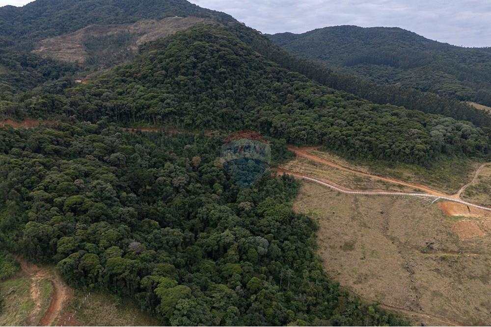 Chácara / Sítio / Fazenda - Venda - São Martinho , Santa Catarina - DJI_20250711082528_0725_D_DJI4.jpg - 590461004-17