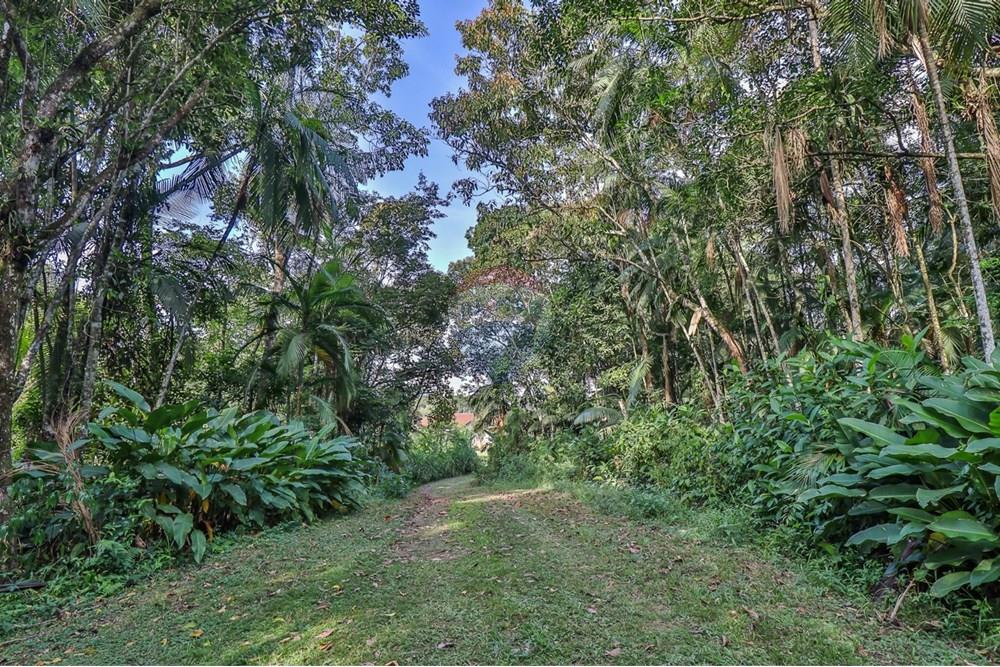 Terreno - Venda - Timbó , Santa Catarina - WhatsApp Image 2025-05-06 at 20.16.29 (3).jpeg - 590211046-8