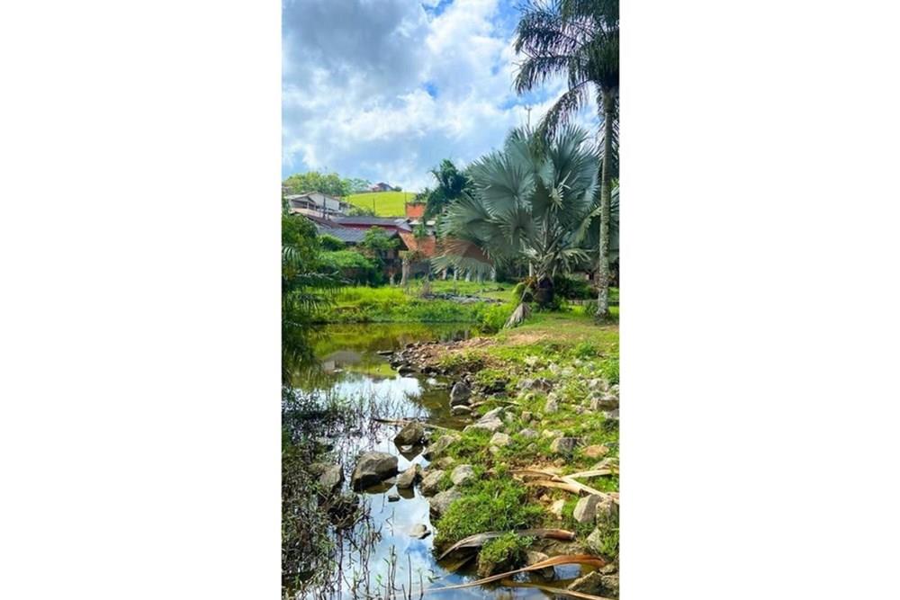 Chácara / Sítio / Fazenda - Venda - Jaraguá do Sul , Santa Catarina - WhatsApp Image 2025-09-16 at 09.24.49 (4).jpeg - 590451031-26