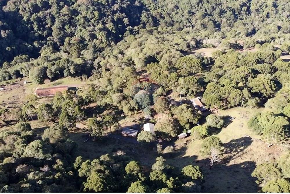 Chácara / Sítio / Fazenda - Venda - Capão Alto , Santa Catarina - WhatsApp Image 2025-07-16 at 2.09.04 PM (3).jpeg - 590071044-10