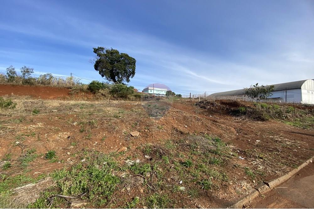 Terreno - Venda - Xaxim , Santa Catarina - IMG_0228.JPG - 590421001-233