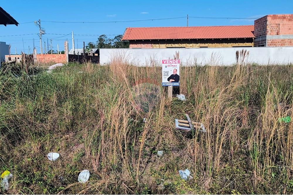 Terreno - Venda - Araquari , Santa Catarina - WhatsApp Image 2025-06-17 at 15.01.52.jpeg - 590501001-117