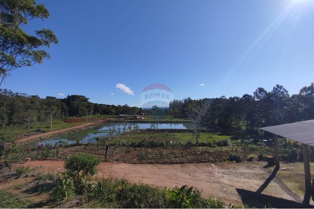 Chácara / Sítio / Fazenda - Venda - Benedito Novo , Santa Catarina - IMG-20241028-WA0374.jpg - 590301027-92